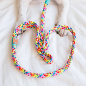 Set Kalung dan Tali Anjing Model Hands Free Baru 2025, Anyaman Warna Pelangi, Ukuran Kecil untuk Anak Anjing - Product Image 5