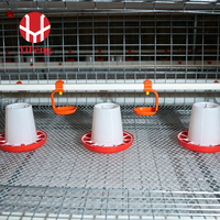Cage à poulets de chair automatique de type H à 3 niveaux en acier galvanisé avec plancher à lattes en plastique, courroie de fumier et abreuvoir à tétine pour poulailler