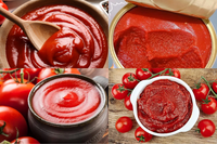Turnkey complete tomatenproductielijn, complete set machines voor tomatenpuree, ketchup en tomatensap.