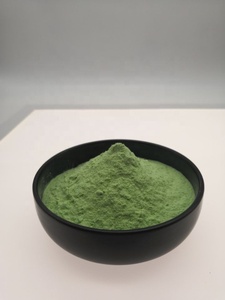 Nhà sản xuất cung cấp 10:1 dưa chuột chiết xuất - Product Image 2