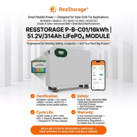 Batterie solaire LiFePO4 48V 16,08 kWh 314 Ah murale, système hybride split pour stockage d'énergie domestique, communication CAN, équilibrage passif