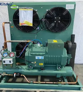 Unidad de refrigeración para habitación de almacenamiento en frío, compresor de refrigeración de baja temperatura, 6HE-28Y, 28hp