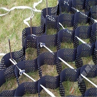 Géocellule en plastique lisse Hdpe/geoceldas Géocellule de stabilisation de gravier en nid d'abeille