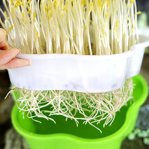Bandeja de cultivo de vivero Microgreens, bandeja de germinación de <span class=keywords><strong>semillas</strong></span> de jardín de plástico PP con drenaje, bandeja de siembra de verduras, caja de cultivo de plántulas - Product Image 5