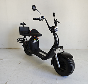 Scooter de <span class=keywords><strong>golf</strong></span> électrique intelligent 2000W, pliable, étanche, avec GPS, 2 places, pneus larges, de l'usine chinoise Loyal - Product Image 3