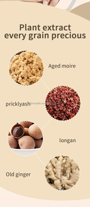 แผ่นแปะลดไขมัน Lijin สินค้า2024นวัตกรรมใหม่ลดน้ำหนักตัวติดจมูกและผิวกายจากสหรัฐอเมริกา - Product Image 5