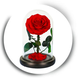 Fleur éternelle petit Prince unique Rose fait à la main conservé anniversaire et saint valentin cadeau usine cheveux raides couverture en verre - Product Image 6