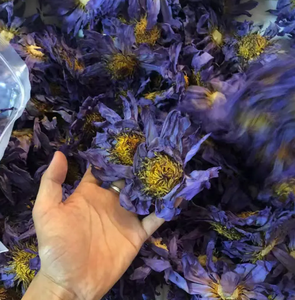 Nhà Máy Giá Màu Xanh Sen Hữu Cơ Trà Thảo Dược Chất Lượng Cao Số Lượng Lớn Đóng Gói Lá Lỏng Lẻo Khỏe Mạnh Hương Vị Halal Chứng Nhận - Product Image 1