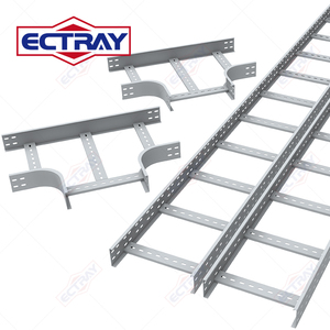 Ectray Trung Quốc nhà sản xuất cáp khay thang loại chất lượng cao quản lý cáp khay thép OEM ODM dây mạ kẽm thang Cáp - Product Image 1