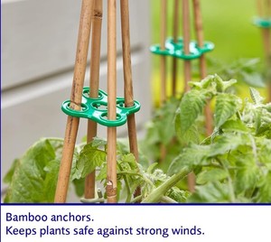 ถุงปลูกมะเขือเทศแบบวงกลม ชุด 3 ชิ้น พร้อมระบบรดน้ำในตัว - Product Image 6