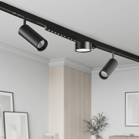 Systèmes d'éclairage encastrés au plafond magnétiques ALLWAY au design moderne, rail de 5 mm, dimmables, compatibles avec les spots LED sur rail pour hôtels, bureaux, musées