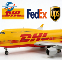 Agente Professionale per Consegna Espressa, Spedizione Aerea Porta a Porta verso il Regno Unito, DDP UPS EXW, Logistica E-commerce, Sdoganamento