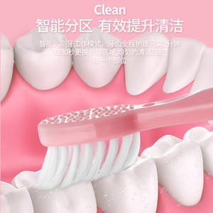 Brosse à dents électrique à poils doux pour adultes avec logo personnalisé, étanche IPX7, boîtier en plastique, pile sèche 800MAH 1200MAH - Product Image 5