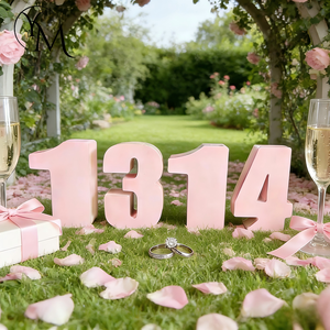 Pièce de présentation pliable pour mariage, décoration de la Saint-Valentin, <span class=keywords><strong>520</strong></span>, proposition en papier, numéro <span class=keywords><strong>1314</strong></span>, présentation en magasin - Product Image 6