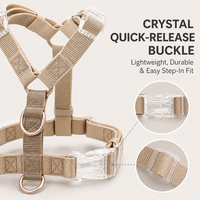 Fournisseur de marques privées : Ensemble de harnais ergonomique et réglable en nylon solide pour chiens et chats, avec logo personnalisé, rembourré et anti-traction