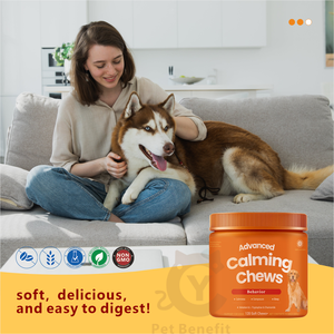 OEM Premium Advanced Calming Soft Chews L-Teanina Ashwagandha - Alivio Natural <span class=keywords><strong>para</strong></span> la Ansiedad, Absorción Rápida, Seguro <span class=keywords><strong>para</strong></span> <span class=keywords><strong>Perros</strong></span>, En Stock - Product Image 3