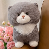Jouet en peluche de simulation de chaton super doux personnalisé de 2m, lit d'ours mignon de style couette, cadeau d'anniversaire parfait pour le soulagement du stress