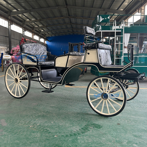 Fournisseur Direct Usine – Carrosse Électrique de Luxe Européen en Acier à 4 Roues, Taille Personnalisable, Haute Qualité pour Visites Extérieures - Product Image 3