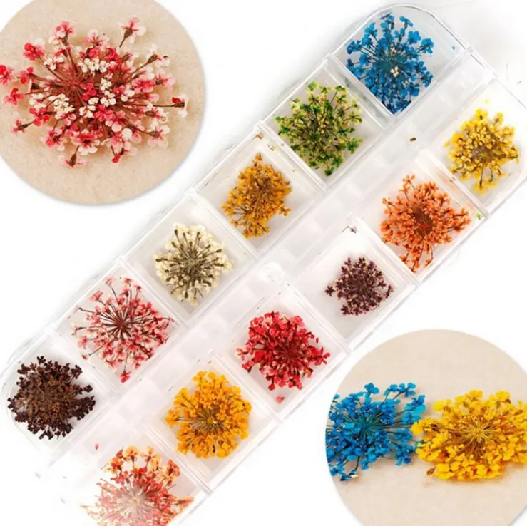 12 renkli tırnaklar  sanat 3D kuru çiçek doğal preslenmiş kurutulmuş dantel çiçek dekorasyon için UV jel