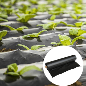 Landwirtschaftliche Garten-Anti-UV-PE-Blasform-Mulchfolie Bodenabdeckung Schwarz-Silber Kunststoff-Mulchfolie - Product Image 1