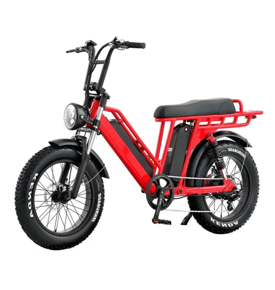 Advance Elektrische Fiets 48V 750W Borstelloze Motor E-Bikes Krachtige Volledige Vering Elektrische Fietsen Voor Volwassenen