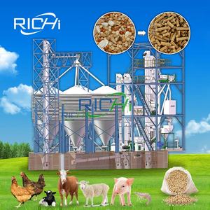 Línea de Producción de Pellets de Alimento para Animales RICHI Personalizable de 3-4 T/H con Diseño Multifuncional - Product Image 1