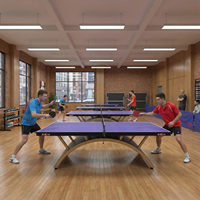 Table de tennis de table de qualité supérieure, norme internationale, 25 mm, plateau en MDF avec base au design moderne, table de ping-pong pour la compétition