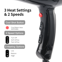 Sèche-cheveux professionnel PRITECH à moteur AC 2000W, sèche-cheveux de salon avec fonction air froid, 3 niveaux de chaleur, 2 vitesses, filtre détachable, concentrateur