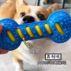 Durable Squeaky Bone Chew Toy For Dogs Rubber Teeth Cleaning Indoor Play Large Size - Product Image 2
