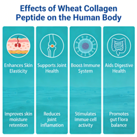 Poudre d'oligopeptides de blé de qualité supérieure, riche en acide glutamique, inférieur à 1000 Da, soluble pour les boissons, la nutrition sportive et les compléments alimentaires