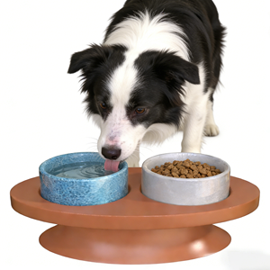 Tigelas Duplas de Cerâmica 2 em 1 Personalizadas OEM para Animais de Estimação, Comedouro Elevado para Gatos e Cães de Pequeno e Médio Porte para Uso Interno - Product Image 2