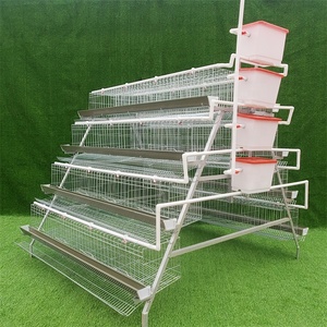 Cage à poules pondeuses pour élevage avicole, batterie de 120 cages à poulets pour l'élevage de poulets - Product Image 4