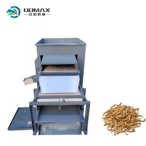 Máquina clasificadora de escarabajos de gusano de harina progresiva, separador automático de gusanos de harina, máquina clasificadora de gorgojos para granja de gusanos de harina - Product Image 3