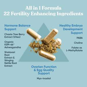 Gli integratori per la fertilità delle vitamine prenatali delle donne promuovono l'equilibrio ormonale circolazione polvere consistente - Product Image 6