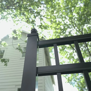 Thép hàng rào Bảng điều chỉnh wrought sắt rèn sắt hàng rào bán buôn wrought sắt hàng rào - Product Image 5