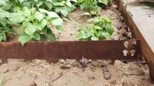 Bordure de jardin en acier corten rustique - Résistant aux intempéries, imperméable, facile à installer, personnalisable, intérieur/extérieur - Product Image 6