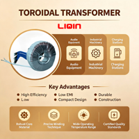 Transformateur de puissance triphasé à noyau toroïdal en cuivre de haute qualité, 50W-5000W, entrée 110V 120V, pour les nouvelles énergies