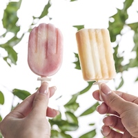 Nouveaux moules à sucettes glacées en silicone de qualité alimentaire avec des formes de dessins animés populaires pour la maison