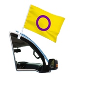Drapeau de voiture Intersex Pride 12x18 pouces (30x45cm) jaune et violet avec clip de fixation en plastique pour défilé LGBTQIA+