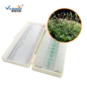 Moss leaf slides, plant and bryophyte specimens, animal and plant slices, teaching <b>microscope</b> slides - Product Image 2