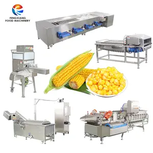 Landwirtschaft Mais-Schäler Dreschmauer Dreschschelle Dreschmaschine Nibel-Wäsche Blancher frische Maisverarbeitungsmaschine
