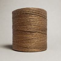 Fibre de sisal naturelle recyclable, procédé de filature à anneaux pour la fabrication de tapis, d'objets d'art et de jouets pour animaux de compagnie