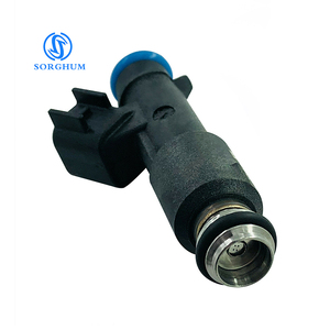Sorghum 12582219 832-11191 FJ10630 17114718 25362871 injecteur de carburant de voiture pour Chevrolet Cobalt pour actiac G5 poursuite 2005-2010 - Product Image 1