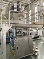 Machine d'emballage automatique de granulés en film à économie d'énergie avec contrôle PLC, directement de l'usine, pour cacahuètes et graines de melon