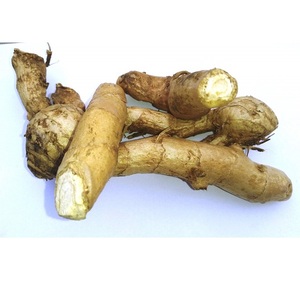Curcuma blanc pur offrant un soutien naturel à base de plantes pour la santé immunitaire, le bien-être digestif, les bienfaits anti-inflammatoires et l'énergie - Product Image 4