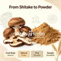 Natuurlijk Shiitake Champignonpoeder (Lentinus Edodes) Waterbestendig Voedingsmiddelkwaliteit Champignon Fruitpoeder voor Immuunondersteunende Supplementen