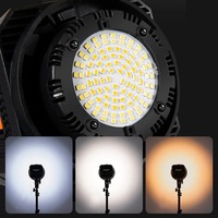 Flash de studio 100W avec kit de boîte à lumière parabolique profonde pour la photographie de portrait de mariage