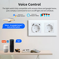 Prise murale intelligente double Tuya WiFi EU 16A avec ports USB A+C, contrôle vocal et à distance via application, surveillance de la consommation électrique domestique IP21