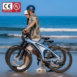 Bicicleta de Cross eléctrica de largo alcance, bicicleta de entrega eléctrica, Motor de cubo trasero, bicicleta eléctrica de montaña <span class=keywords><strong>Plegable</strong></span> - Product Image 1