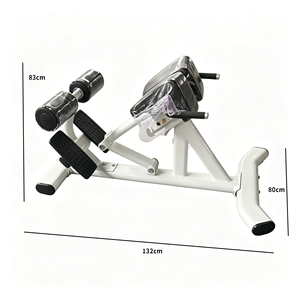 Chaise romaine multifonctionnelle à <span class=keywords><strong>prix</strong></span> d'usine, appareil <span class=keywords><strong>professionnel</strong></span> d'entraînement du bas du dos, équipement de fitness pour la maison et les salles de sport commerciales - Product Image 2